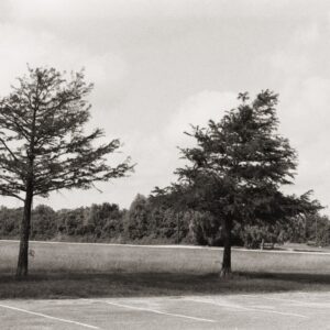 Black and white film Develop Only (120)